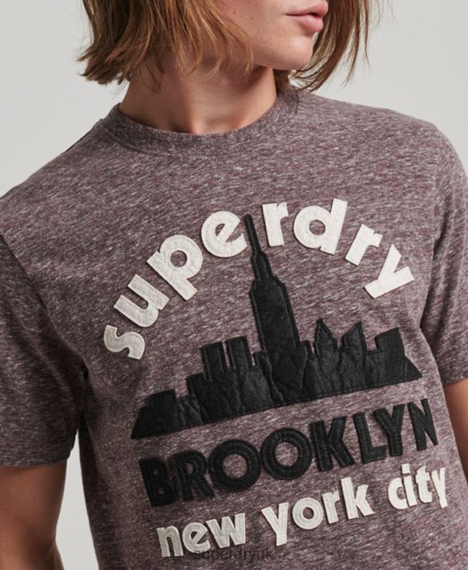 Great Outdoors Applique T-Shirt Men Brown Clothing Superdry 66N8N116