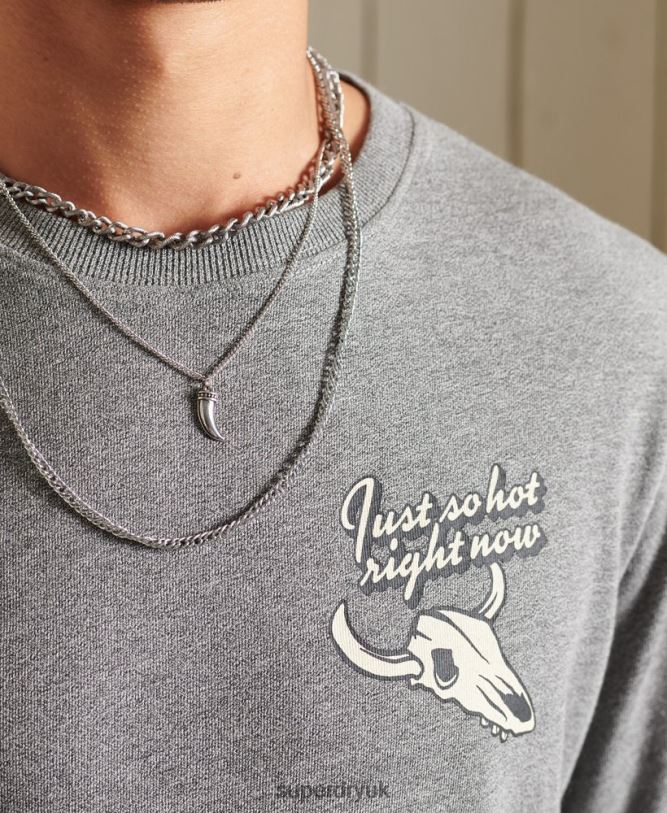 Heritage Mountain Long Sleeve Top Men Light Grey Clothing Superdry 66N8N6470