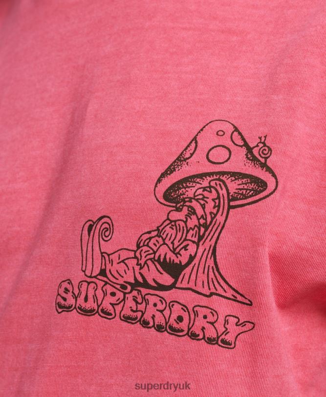 Into The Woods Graphic T-Shirt Men Pink Clothing Superdry 66N8N4793