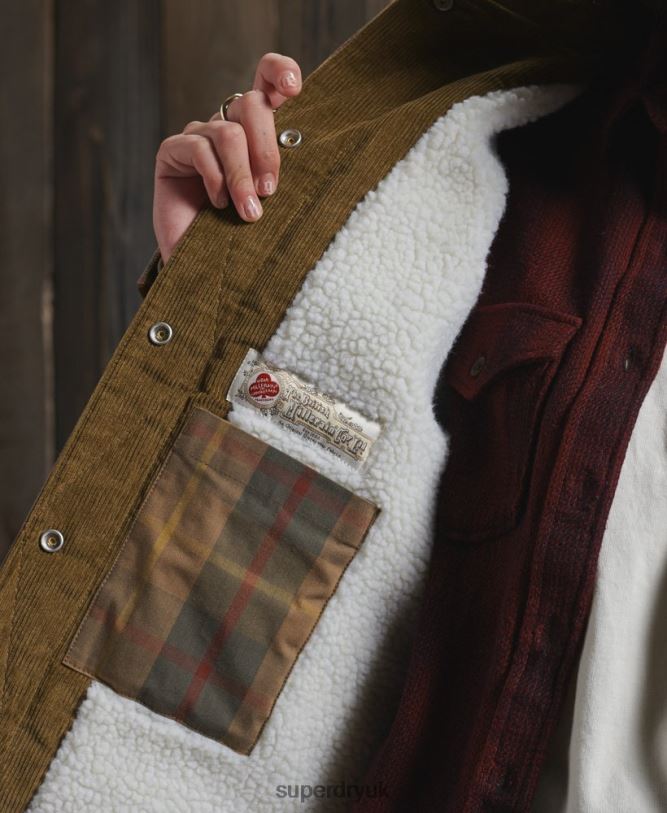 Limited Edition Dry Cruiser Jacket Women Brown Clothing Superdry 66N8N5549