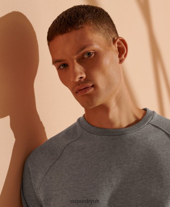 Limited Edition Organic Cotton Sweatshirt Men Light Grey Clothing Superdry 66N8N5220