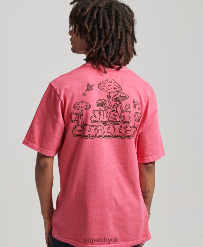 Into The Woods Graphic T-Shirt Men Pink Clothing Superdry 66N8N4793
